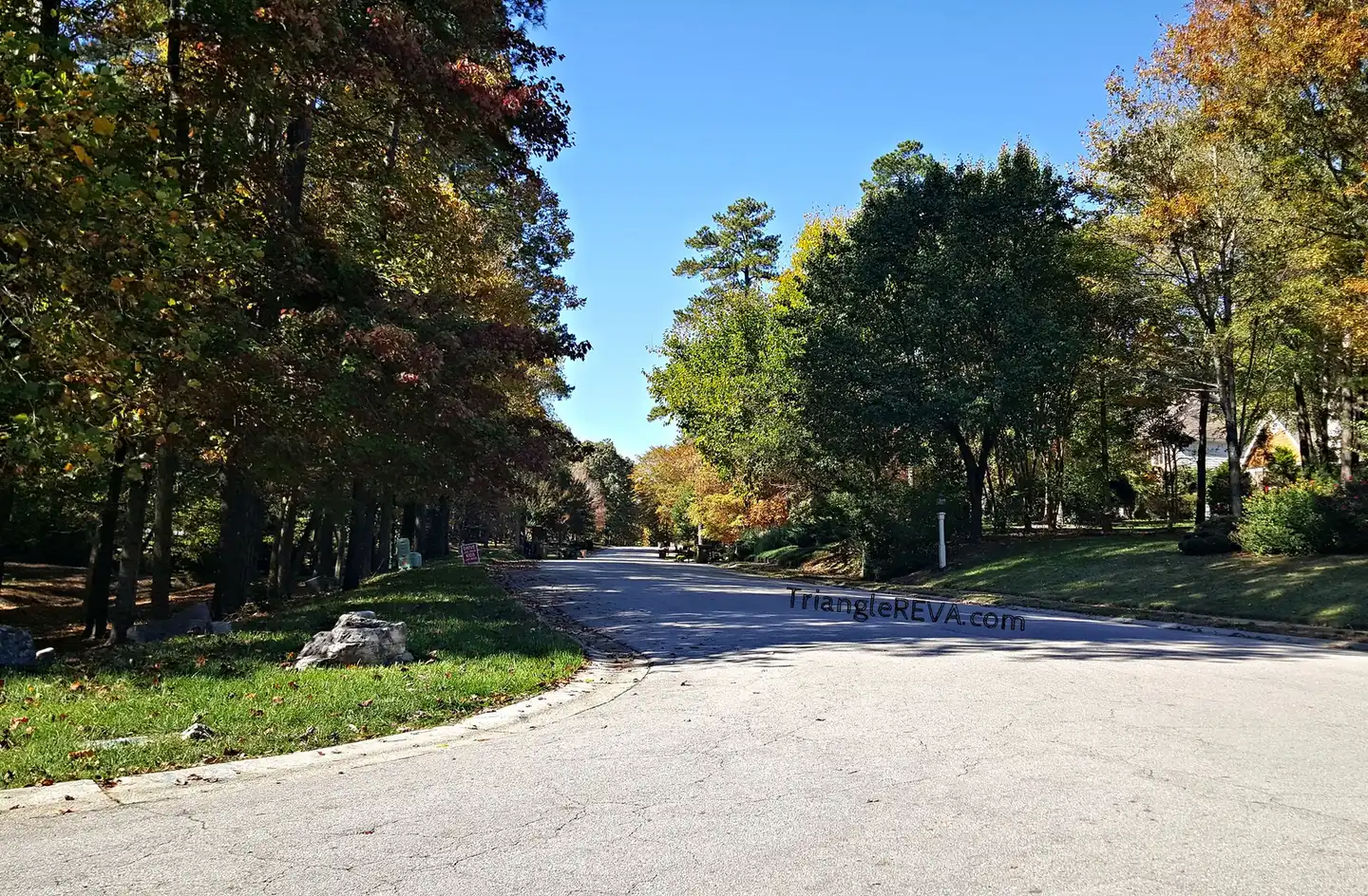 A tree-lined residential street in the Crenshaw Hall Plantation neighborhood of Wake Forest in the fall.