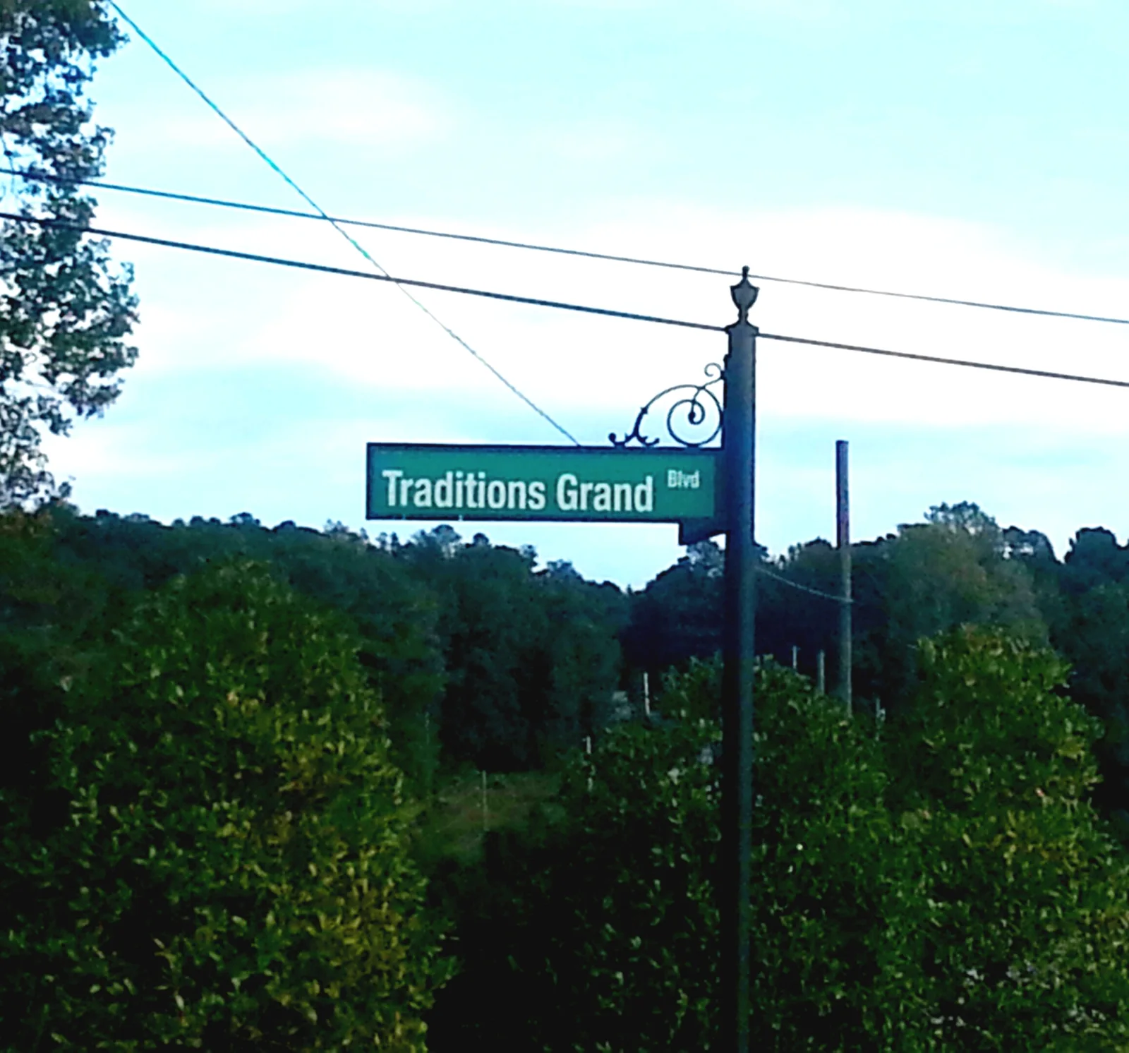 A Traditions Grand Boulevard street sign above the trees in the Traditions neighborhood on the east side of Wake Forest.