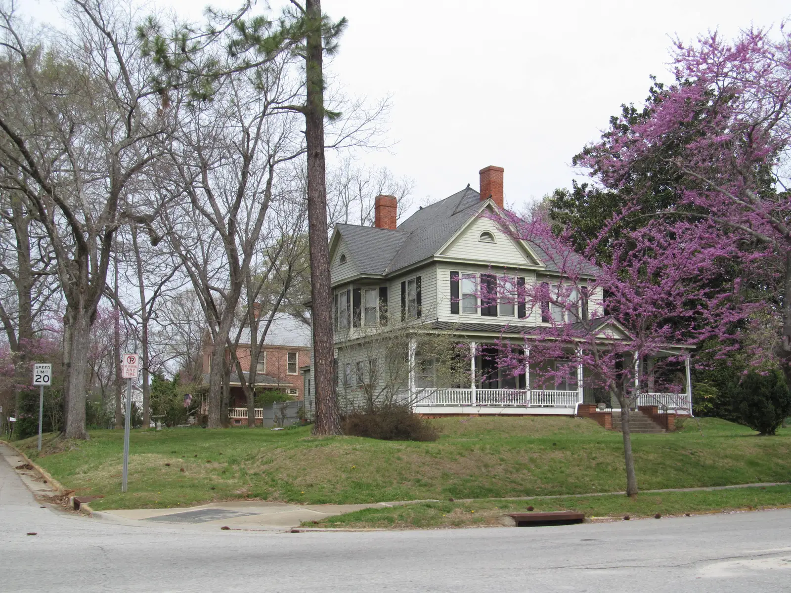 A Victorian house and a redbud in bloom on a corner lot in Wake Forest's historic core in spring.