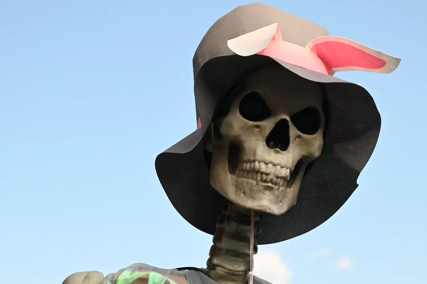 A giant skeleton in a sun hat and shimmering wrap stands over the crowd at a Friday Night on White concert in downtown Wake Forest.