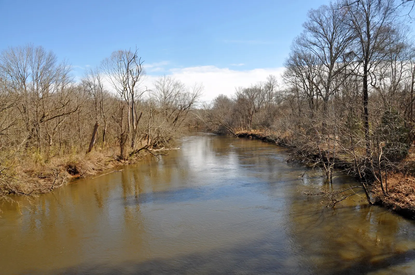 The water and bare winter woods at the Neuse River Greenway bridge where the Smith Creek Greenway from Wake Forest crosses the river.